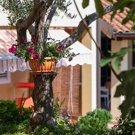 14164a * 브르사르