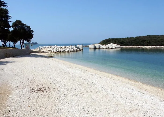 14164a * 브르사르