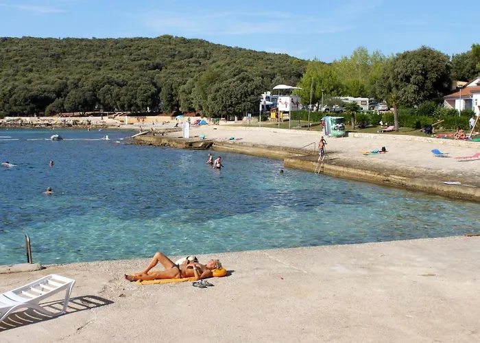 14164a * 브르사르