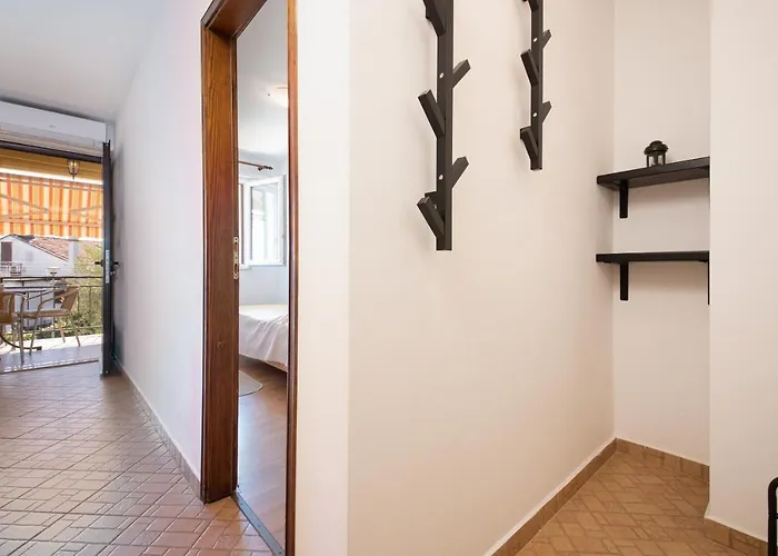 14164a * 브르사르