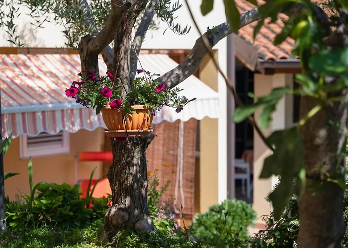 14164a * 브르사르